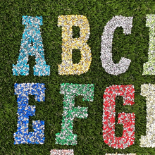Load image into Gallery viewer, Stunning High-Quality 3" Crushed Rhinestone Hotfix Iron-on Letters