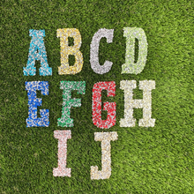 Load image into Gallery viewer, Stunning High-Quality 3" Crushed Rhinestone Hotfix Iron-on Letters
