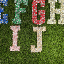 Load image into Gallery viewer, Stunning High-Quality 3" Crushed Rhinestone Hotfix Iron-on Letters