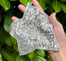 Load image into Gallery viewer, Sequin Star Applique Patch