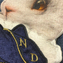 Load image into Gallery viewer, Cloaked Bunny Rabbit With Crown
